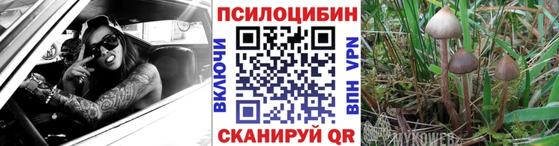 Псилоцибиновые грибы GOLDEN TEACHER  гидра ссылки  Калининград 